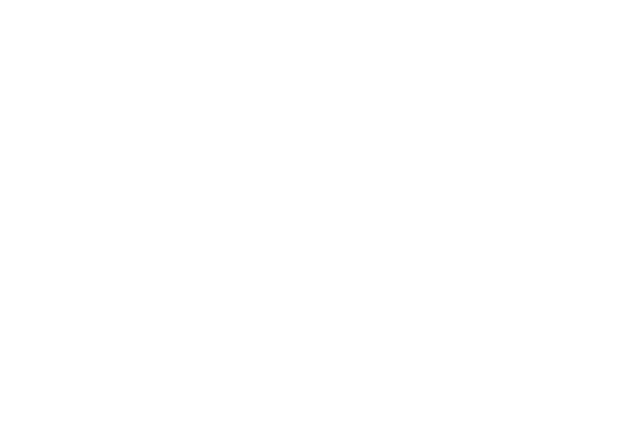 logo asiahold blanc