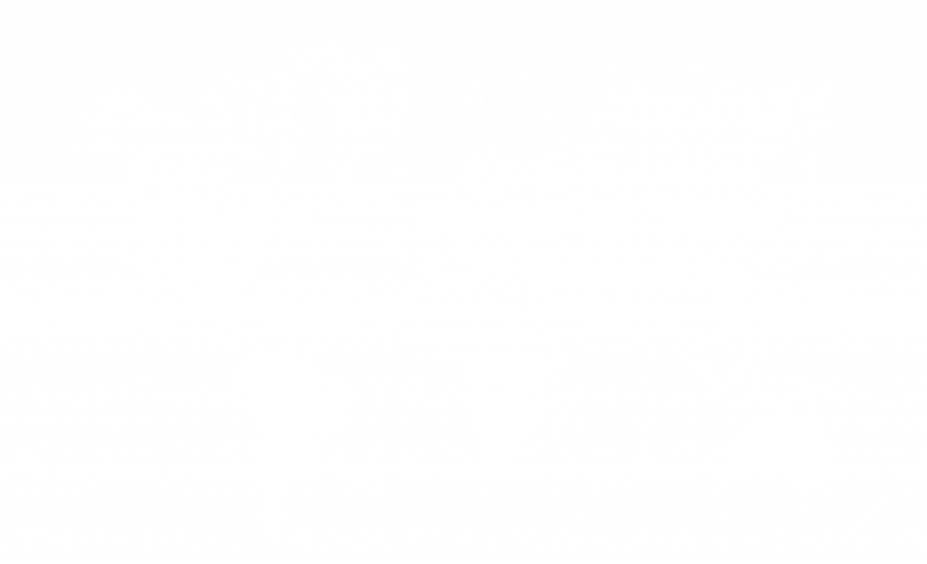 mappemonde blanc