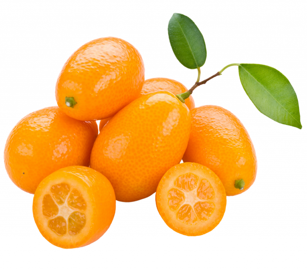 kumquat