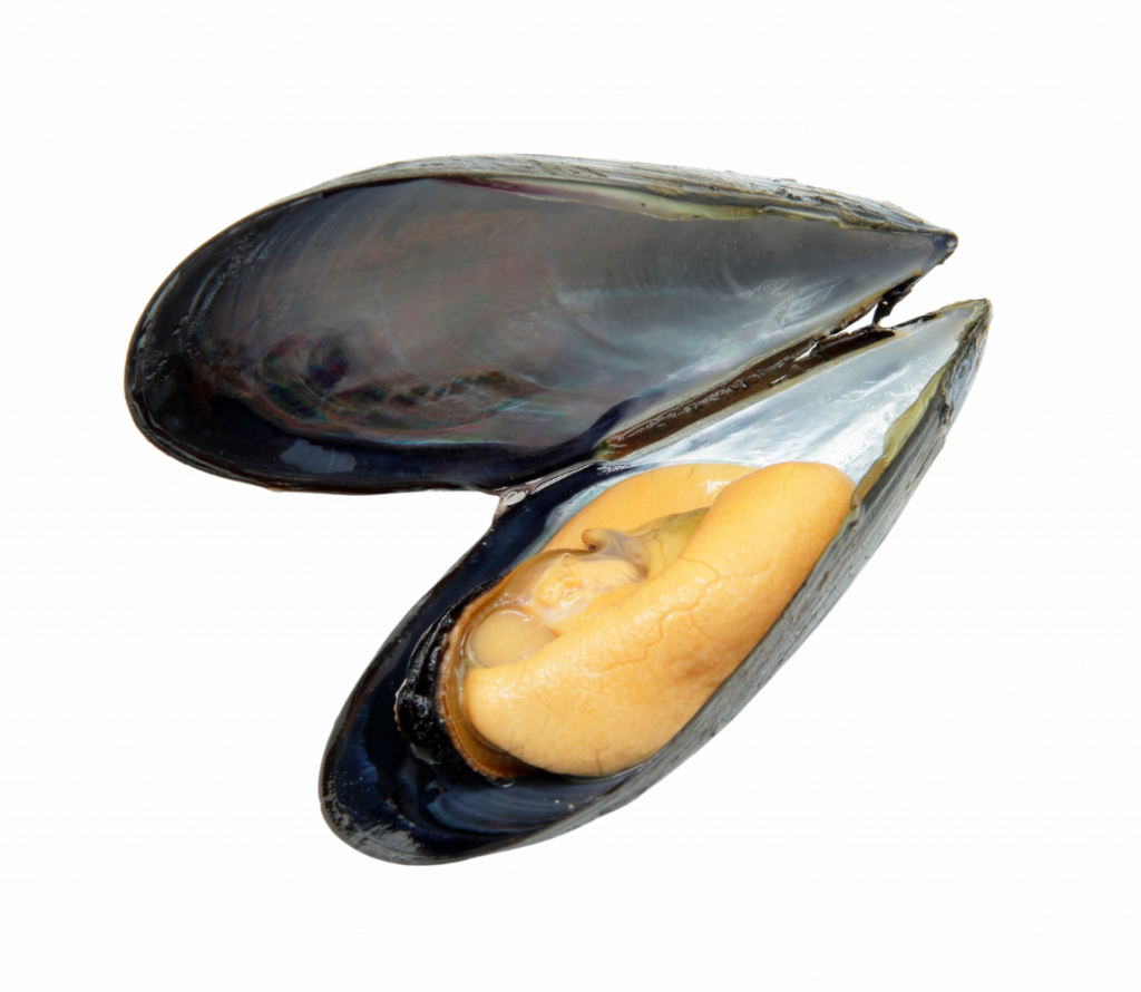 moule