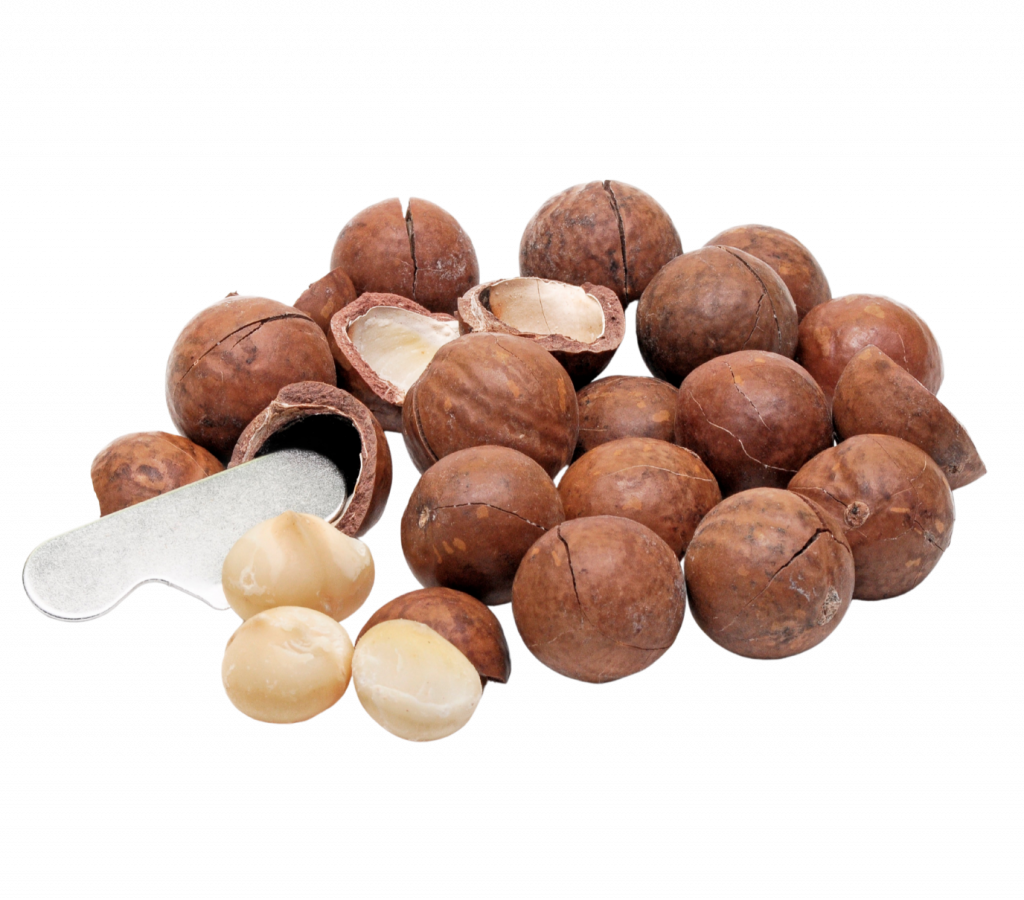 noix de maccadamia