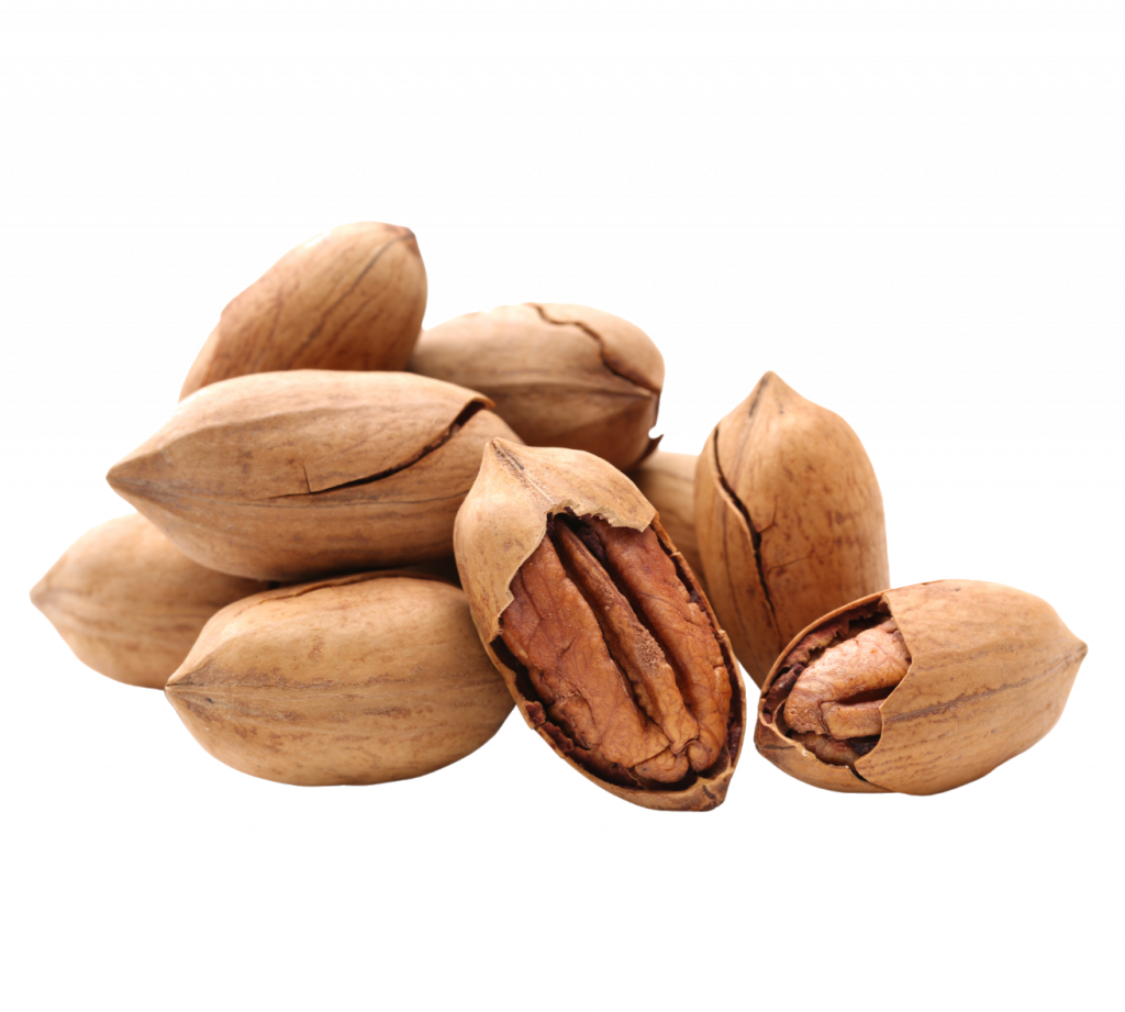 noix de pécan