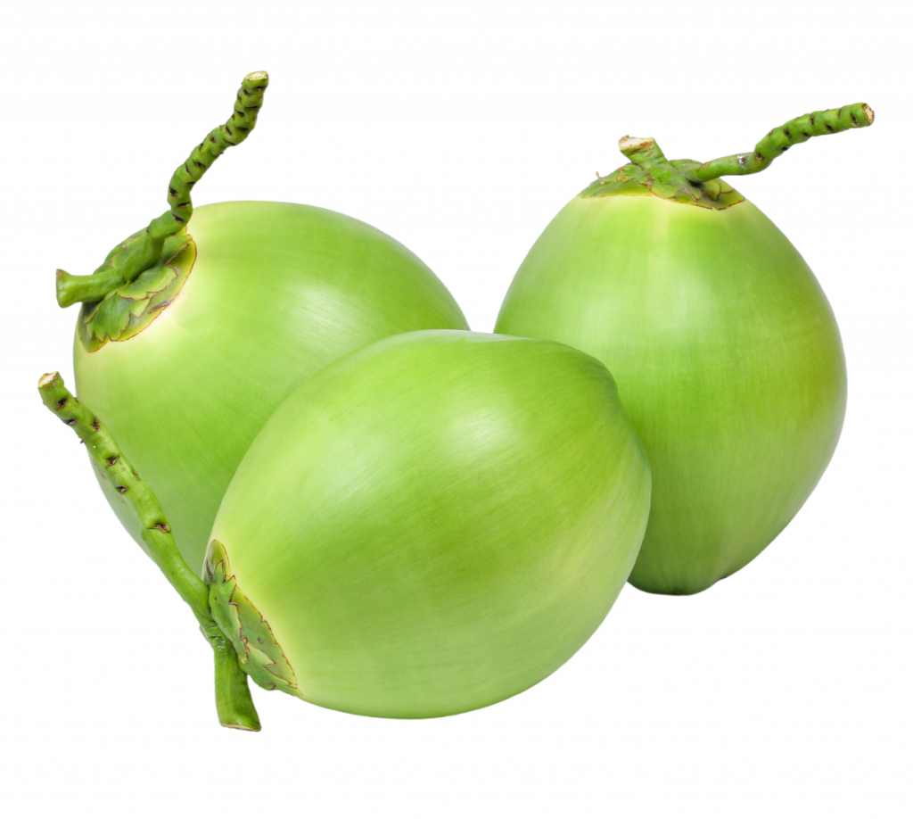 noix de coco verte